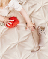 Henry Cat Rattle